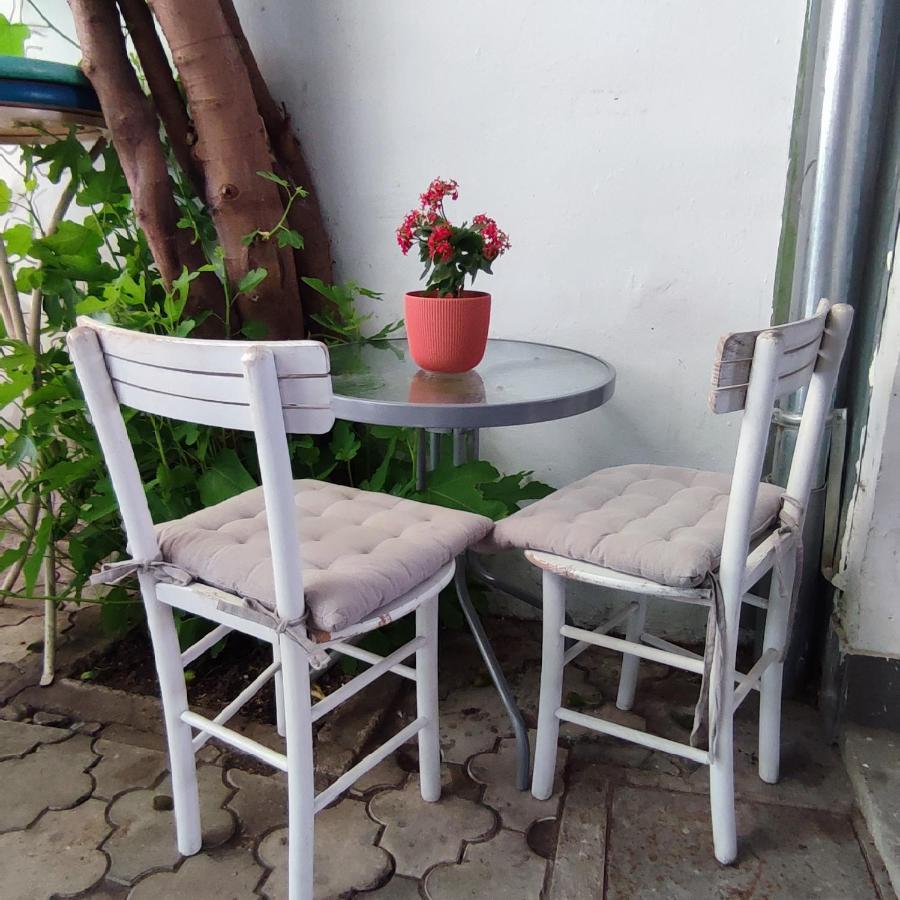 Centar Novi Sad-Apartman No 3 Exteriér fotografie